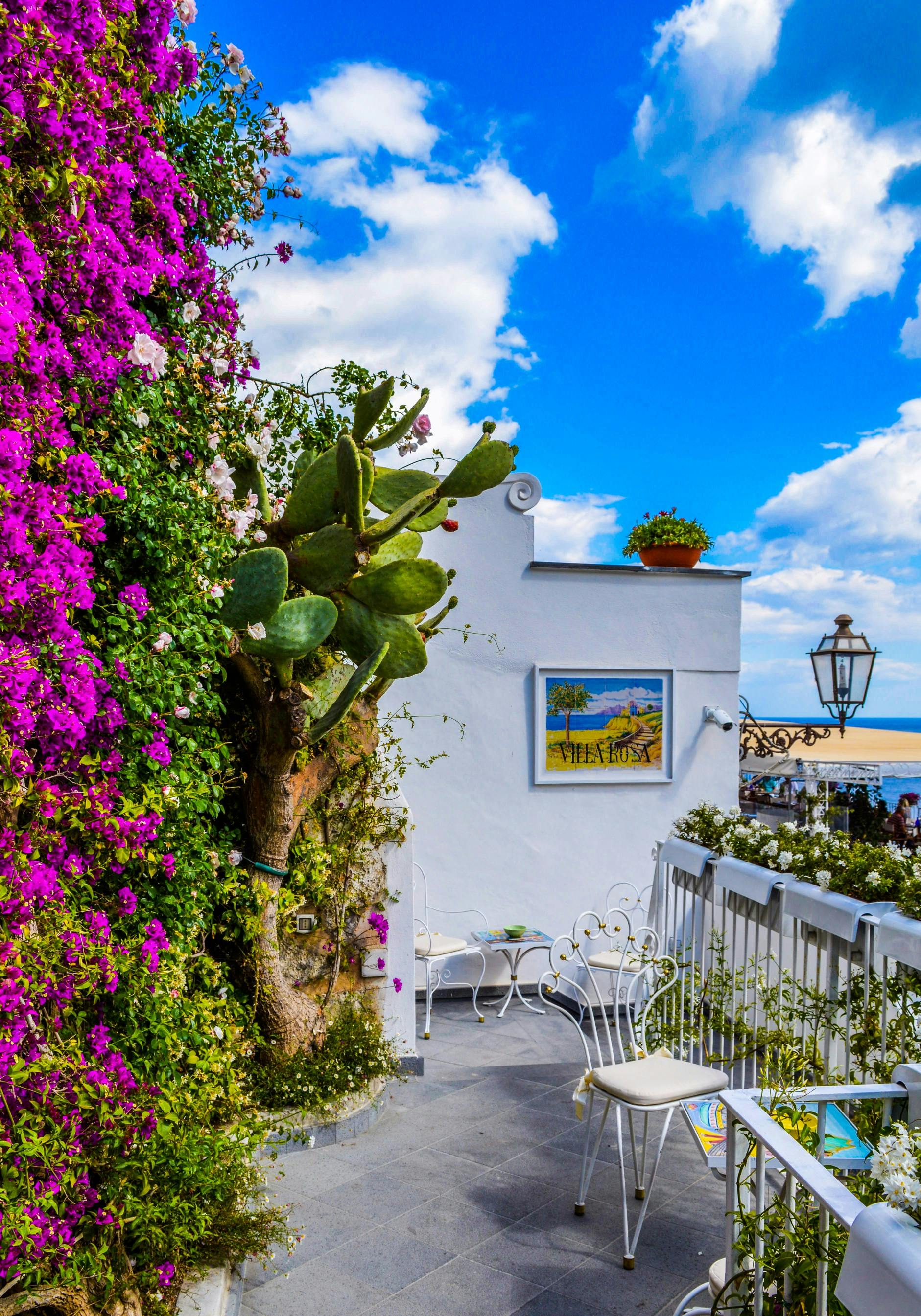 Peaceful veranda with green cactus and pink bougainvillea representing natural transformation environment