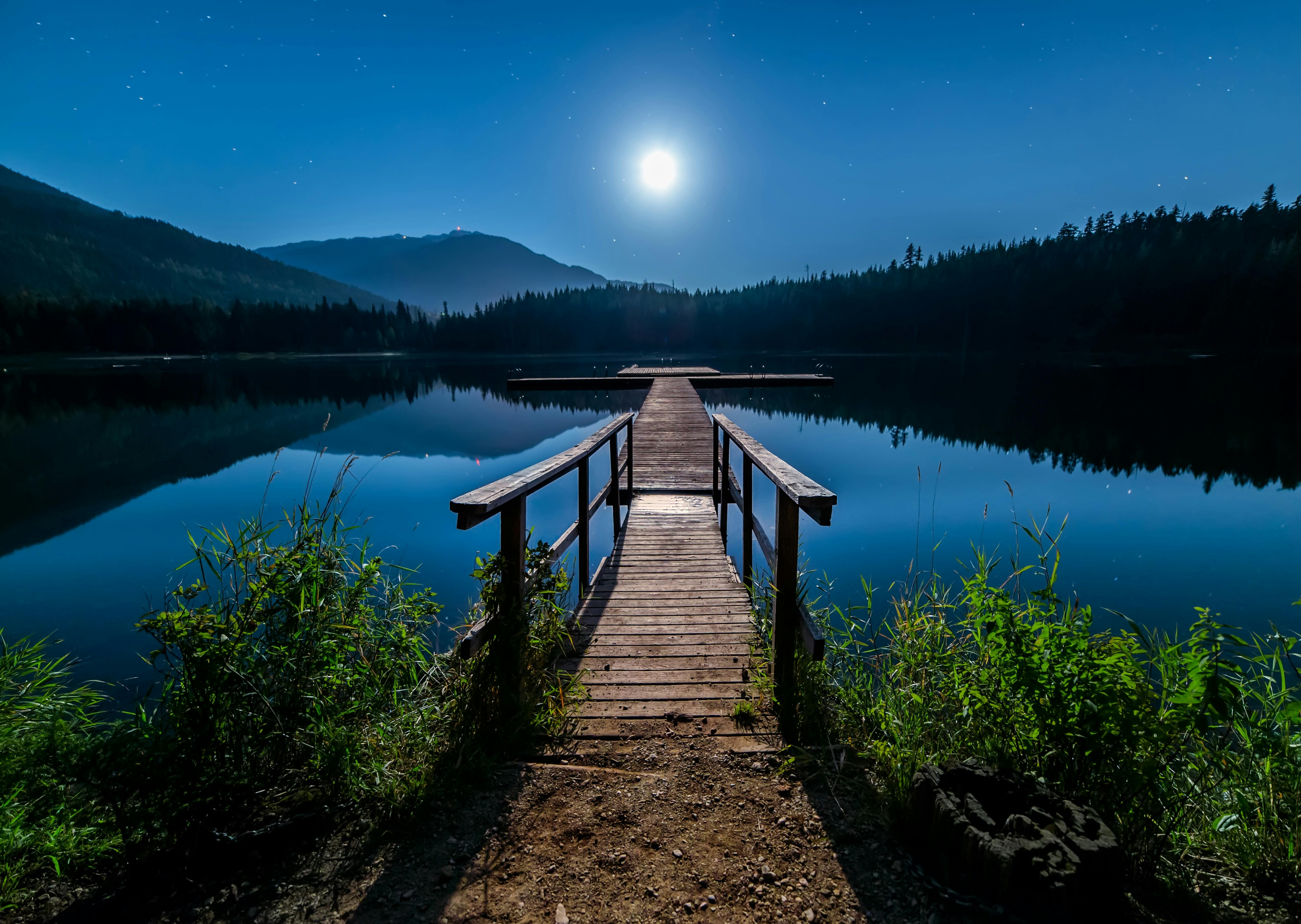 Peaceful wooden dock representing our scientific foundation and meditation practices